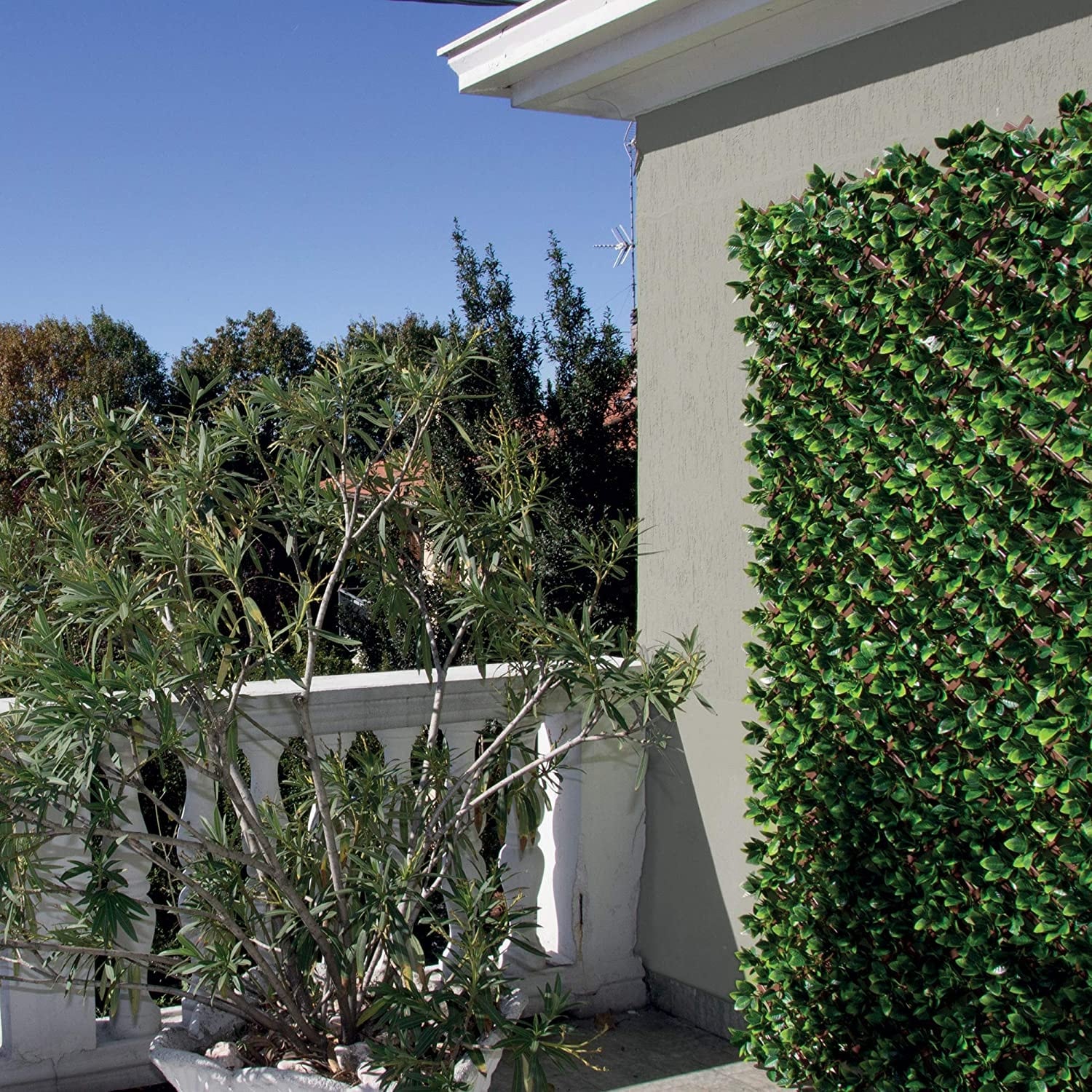 Treillis extensible lierre